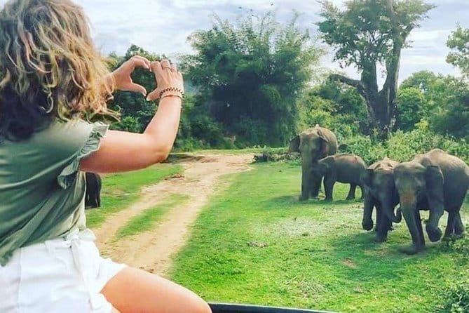 03 Days Highlights Of Sigiriya,Kandy,Nuwara Eliya ,Ella & Udawalawe - What the $265 price really covers
