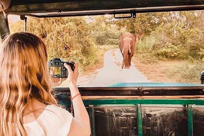 08 - Day Classic Tour with English speaking drive and Private luxury vehicles - A fast introduction to Sri Lanka’s many sides