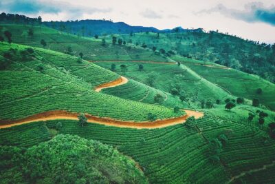 08 Days private round trip in Sri Lanka