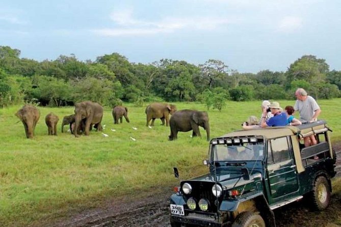 08 Nights in Magical Sri Lanka - Dambulla and the road into Kandy