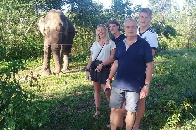 08 Nights in Magical Sri Lanka - Tea country and the famous train to Ella