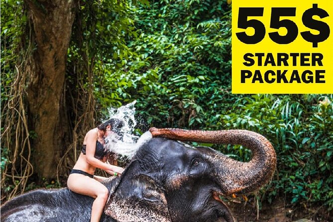 10-Day Sri Lanka Escape – Culture, Wildlife & 3 stars Hotels - Key points to know before booking