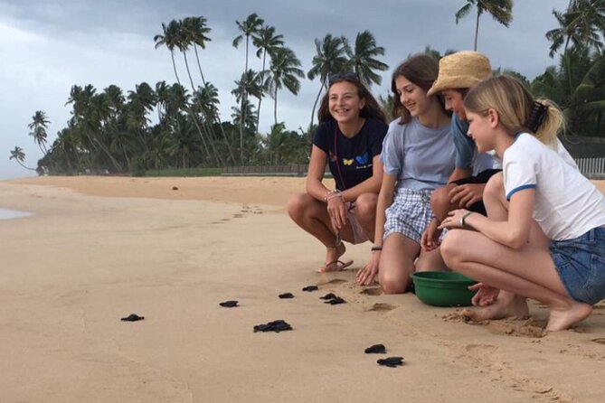 10-Day Sri Lanka Escape – Culture, Wildlife & 3 stars Hotels - Mirissa and Unawatuna: two kinds of beach time