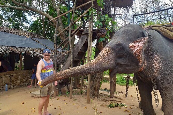 12 Days Sri Lanka Island Adventure and Wild Tour - The train to Ella is scenic, but not fully predictable