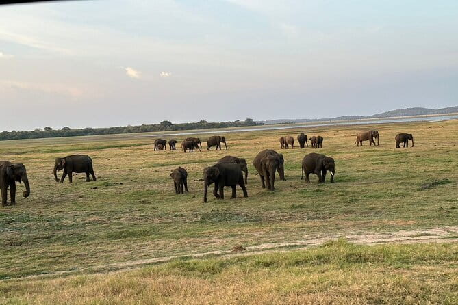 12 Days Tour Grand Discovery of Sri Lanka - Colombo, Negombo, and the first taste of island life