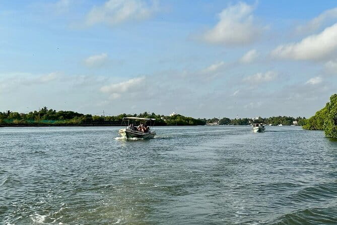 12 Days Tour Grand Discovery of Sri Lanka - Peradeniya and Kitulgala add plants and adrenaline