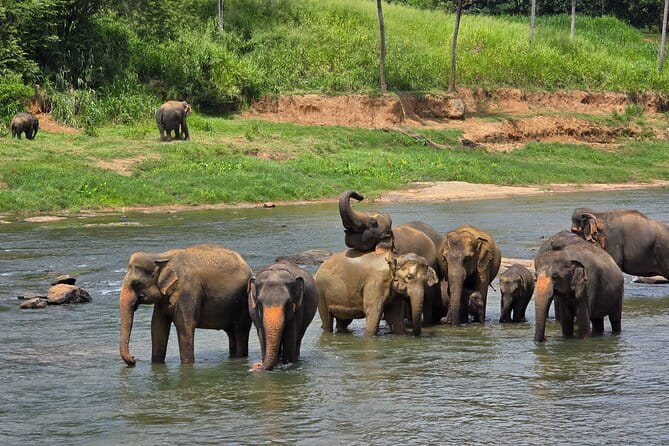 12 Days Tour Grand Discovery of Sri Lanka - Sigiriya puts village life beside an ancient fortress