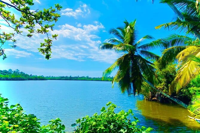 14 Days/ 13 Nights -Sri Lanka Tour on Culture, Wildlife & Beaches - Why this route works for a first visit