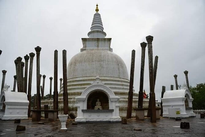 14 Days/ 13 Nights -Sri Lanka Tour on Culture, Wildlife & Beaches - Days 10 to 12: Yala, beaches, whales, and Galle