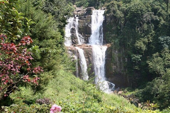 2 Day Tour of Yala & Ella with Hill Country Scenic Train Ride - All Inclusive - A 60 to 70 minute ride through Sri Lanka’s tea country