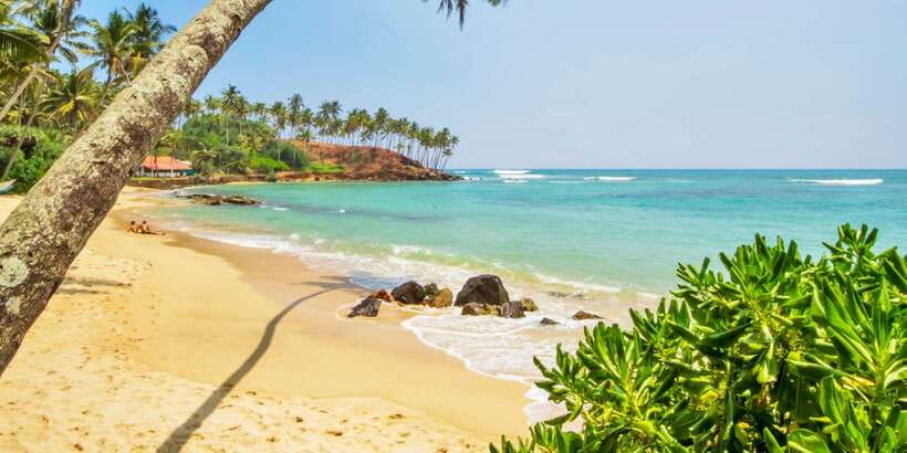 2-Day Whale Watching & Southern Sri Lanka Tour - Why Mirissa makes the whale trip worthwhile