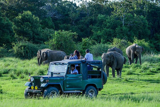 2 Days Tour of Double Safari (Yala & Udawalawe) - All Inclusive - Why this two-park plan works