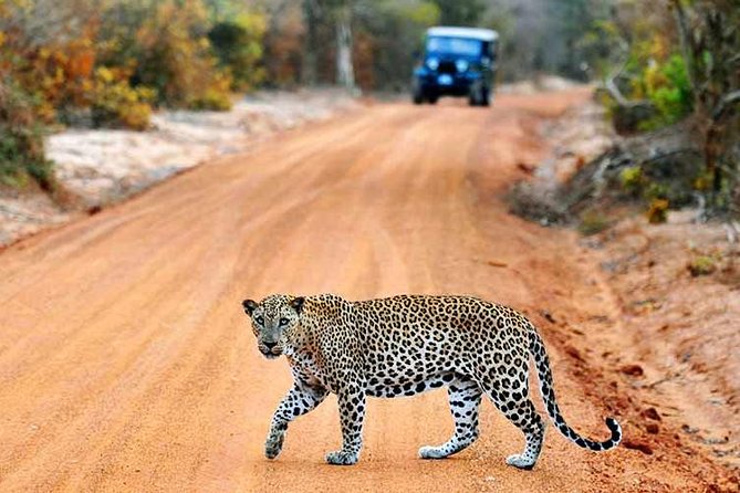 2 Days Tour of Double Safari (Yala & Udawalawe) - All Inclusive - A night near Yala, with the main meals covered