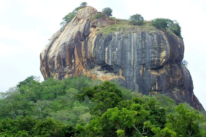 2 Night /3 Days-Highlights of Sri Lanka (Days Can be extended) - Minneriya National Park and the elephant question