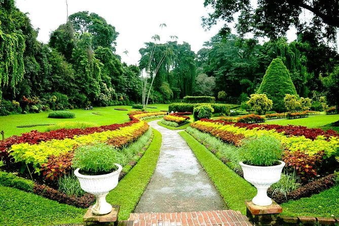 2 Night /3 Days-Highlights of Sri Lanka (Days Can be extended) - What the $175 price includes and leaves out