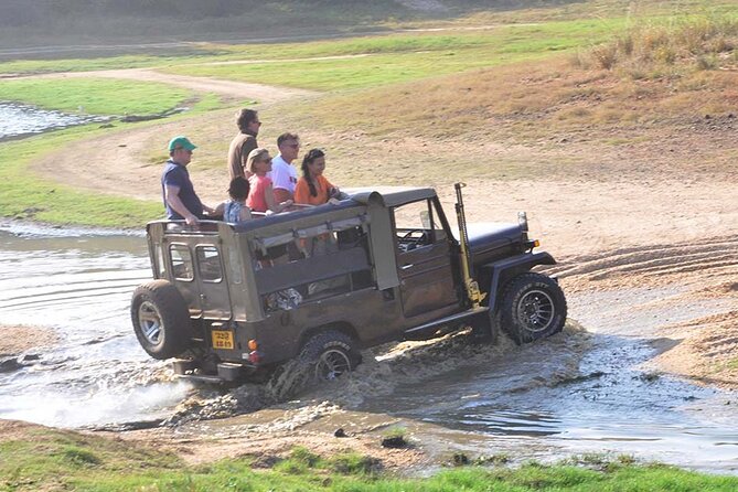 3 Days Private Tour of Yala Safari/ Ella/ Kandy - All Inclusive - Who will enjoy this tour most