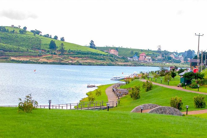 3 Days Tour to Kandy, Nuwara Eliya & Sigiriya - Who should book this experience?