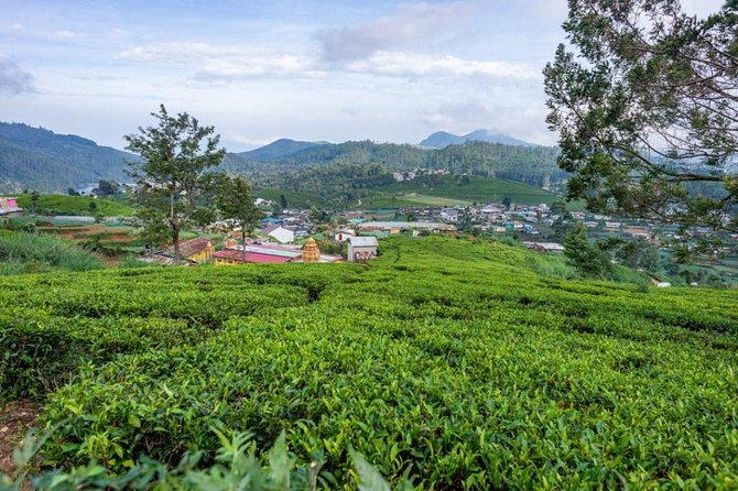 3 Days Tour to Kandy, Nuwara Eliya & Sigiriya - Should you book the three-day route?