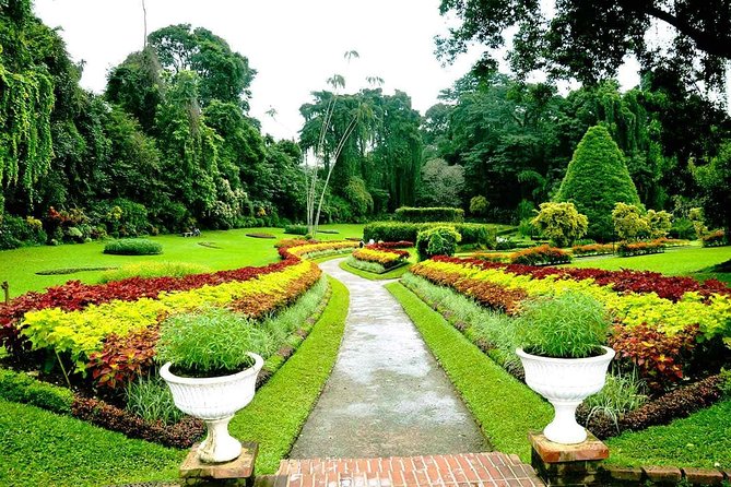 3 Days Tour to Kandy Nuwara Eliya & Sigiriya from Colombo - Who should book this tour?
