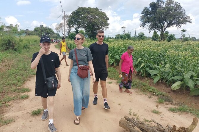 4 Days Amaizing Classic Mini Tour Sri Lanka - Key points to know before booking