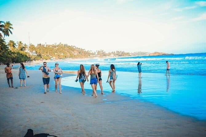 4 Days of Discovery and Delight in Sri Lanka - Comfort, pace, and who should book