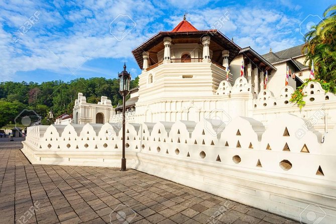 4 Days Tour to Kandy, Sigiriya & Nuwara Eliya - Who should book this Sri Lanka tour?