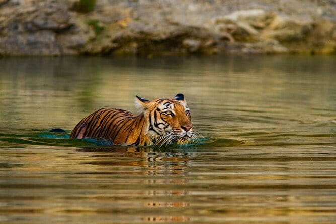 5 Day Sri Lanka Tour : Including Temple of Tooth & Sigiriya Trip - What the $470 group price really covers