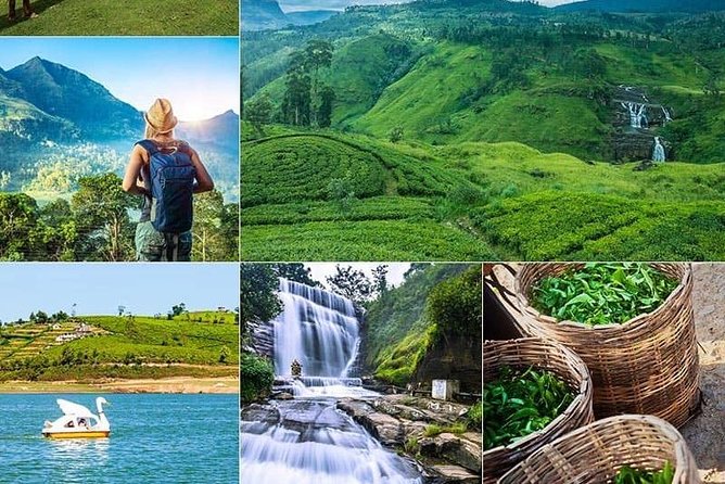 5 DAYS BUDGET TOUR package in Sri Lanka - Day two: Ambewela, Seetha Amman, and Hakgala