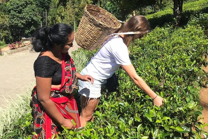 5 Days Tour in Sri Lanka (Hotels with Breakfast & Luxury Car) - Day four: beaches, Rumassala, and Galle Fort