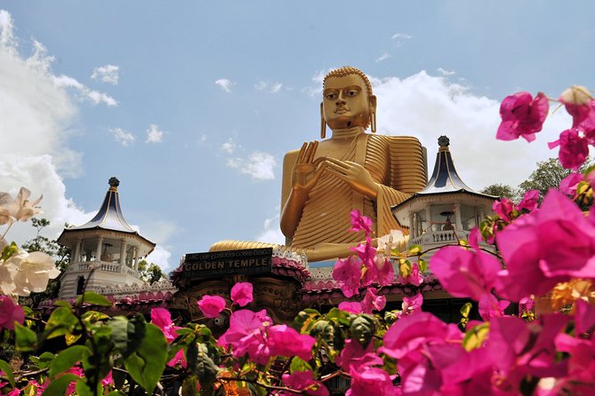 6-Day Sri Lanka Heritage Private Tour - Day 4: Peradeniya gardens and the climb into tea country