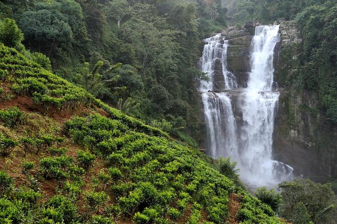 6 Days Nature And Culture Tour - Key points at a glance
