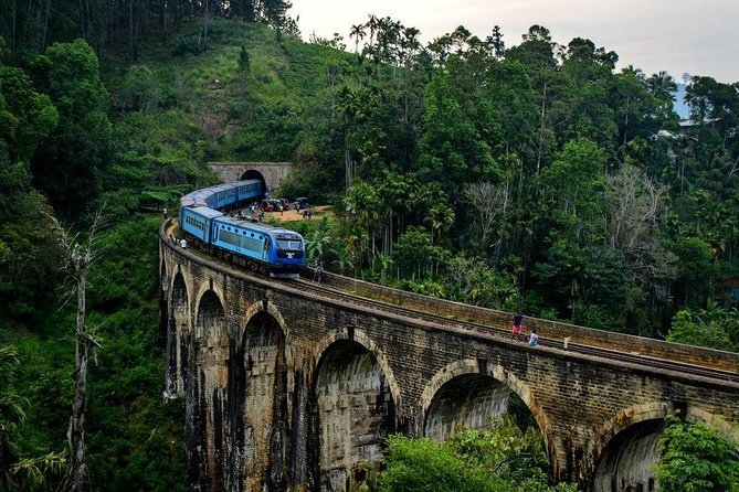 6 Days Nature And Culture Tour - A private route from the airport to Sri Lanka’s interior