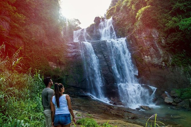 6 Days Nature And Culture Tour - Day 6: Kandy’s view, Peradeniya gardens, and Negombo