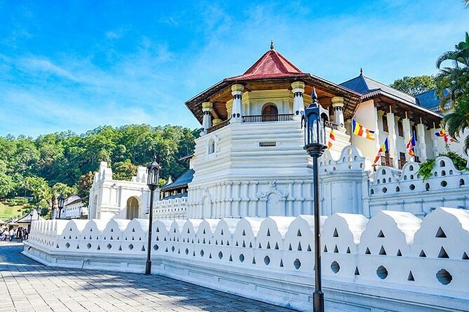 6 Days Tour of Sri Lanka - Key points to know before booking