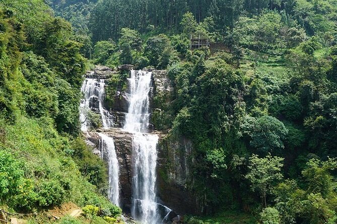 6 Days Tour of Sri Lanka - What the $850 price really covers
