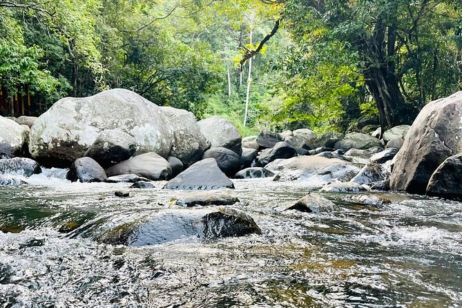 6Days Hill country Private Tour in Sri Lanka - Day 2: From Kandy gardens to Nuwara Eliya tea country