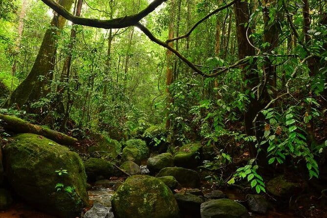 7 Days Private Guided Tour in Sri Lanka - What $780 really covers