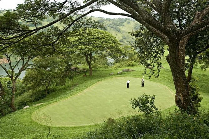 7 Days Sri Lanka Tour Chauffeur Wildlife and Heritage Adventure - Day 3: Kandy, waterfalls, and tea country