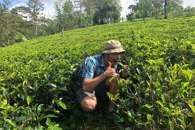7 Days Sri Lanka Tour Chauffeur Wildlife and Heritage Adventure - Day 5: Ella viewpoints and Yala wildlife