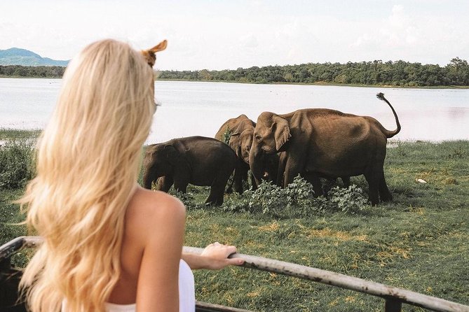 7 Nights Private Tour Of Sri Lanka - Day five: the cool hills of Nuwara Eliya