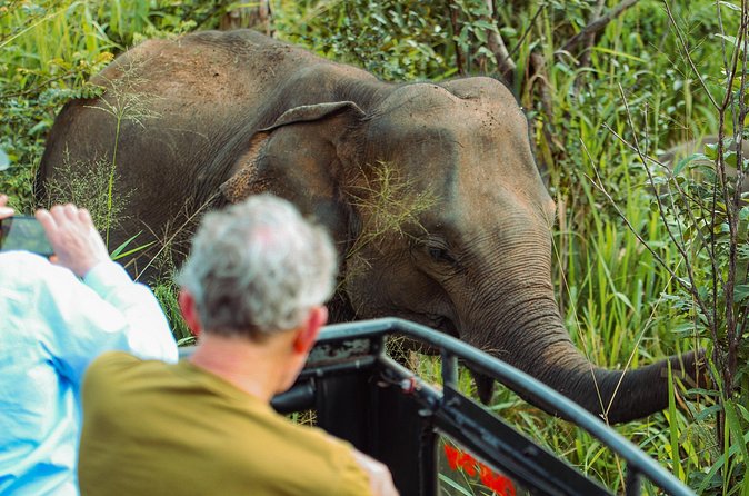 8 Day Private Sri Lanka Tour with Chauffeur - Day four: Ramboda Falls and the tea country around Nuwara Eliya