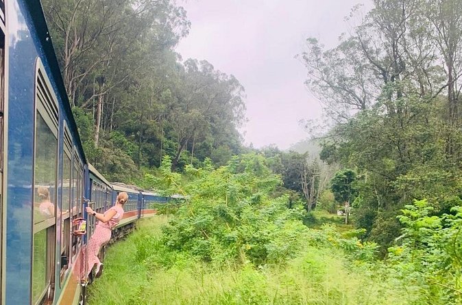 8 Day Private Sri Lanka Tour with Chauffeur - Day five: the Nanu Oya to Ella train and two famous viewpoints