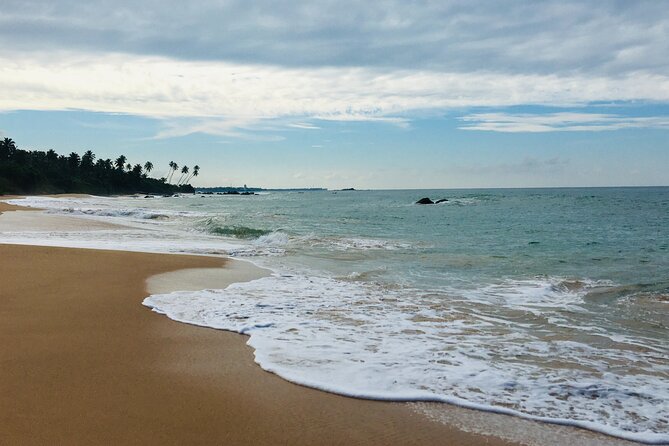 8 Day Private Sri Lanka Tour with Chauffeur - Day six: Yala safari, Galle Fort, and the move to Beruwala