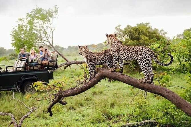 8 Days Private Guided Tour in Sri Lanka with accommodation (BB) - Day 6: Yala National Park