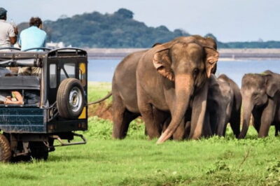 9 Days Guided Tour Through Sri Lanka