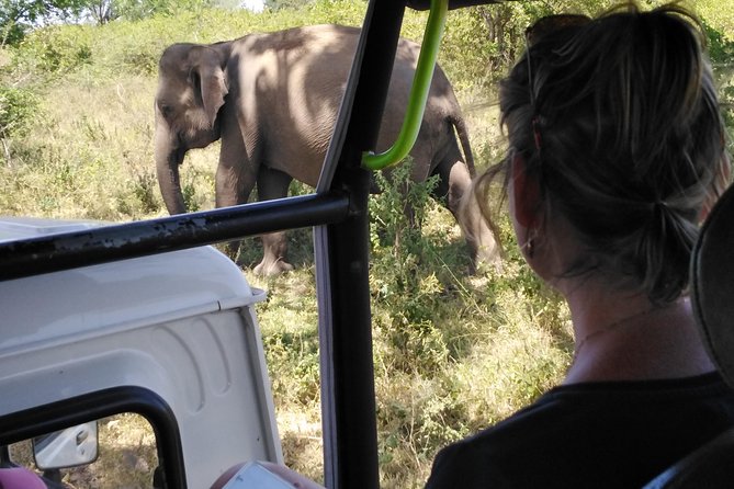 A Udawalawa Park safari, Tour from Colombo/Galle- (All inclusive) - Key points at a glance