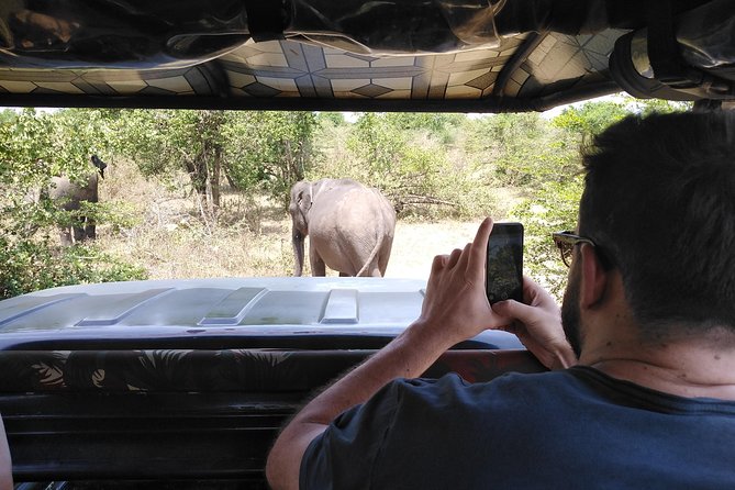 A Udawalawa Park safari, Tour from Colombo/Galle- (All inclusive) - What you may see beyond elephants