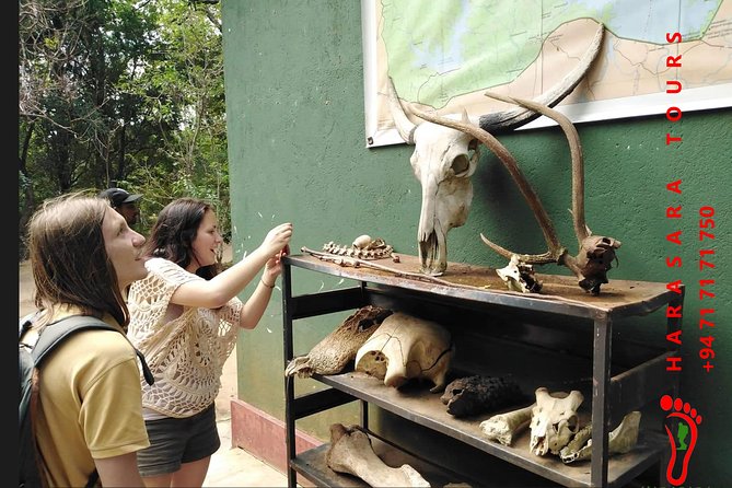 A Udawalawa Park safari, Tour from Colombo/Galle- (All inclusive) - Lunch, water, and the value of the $195 price