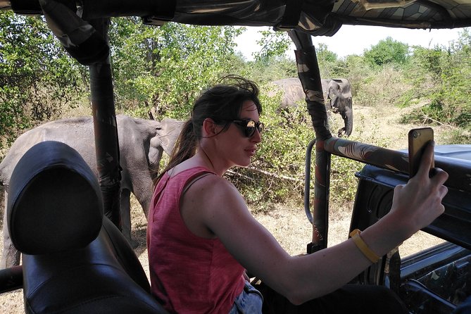 A Udawalawa Park safari, Tour from Colombo/Galle- (All inclusive) - Who should book this Colombo safari?