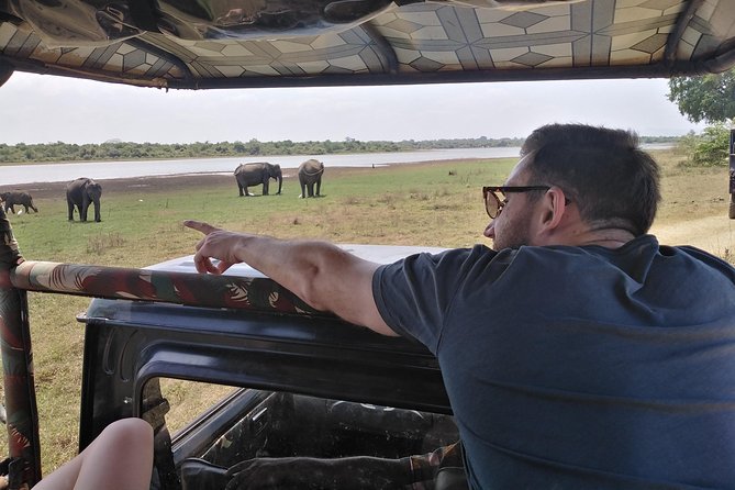 A Udawalawa Park safari, Tour from Colombo/Galle- (All inclusive) - Three hours inside Udawalawe National Park